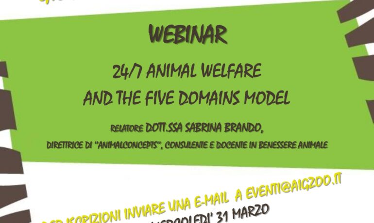 Animal welfare and the five domains model