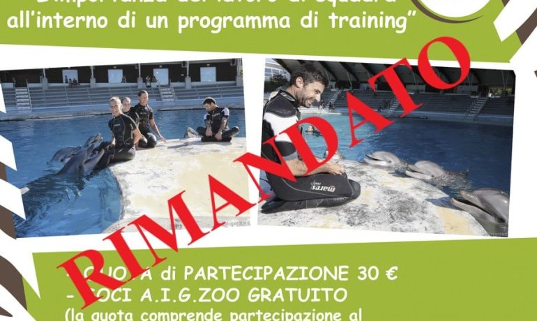 L'IMPORTANZA DEL LAVORO DI SQUADRA ALL'INTERNO DI UN PROGRAMMA DI TRAINING.