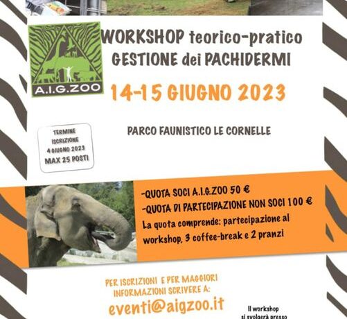 WORKSHOP GESTIONE DEI PACHIDERMI.