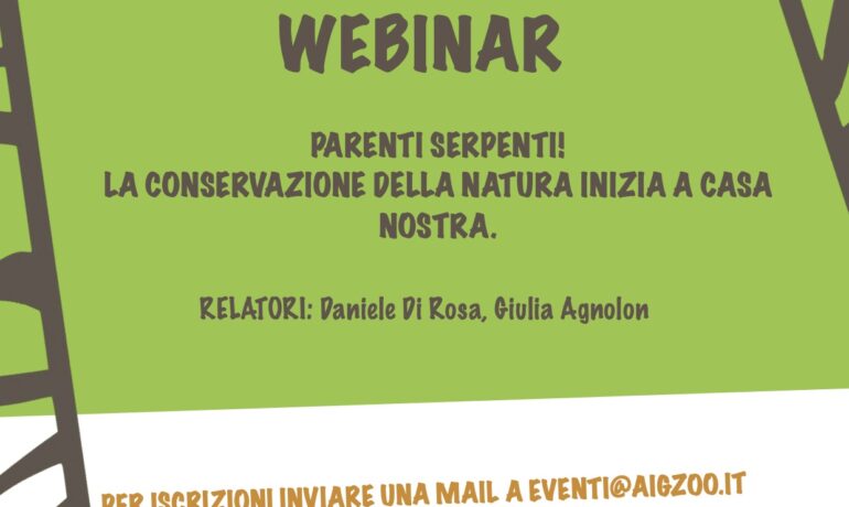 WEBINAR RETTILI.