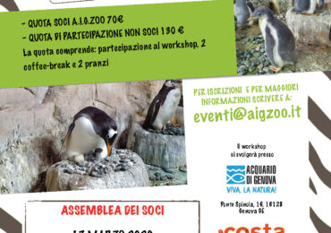 WORKSHOP GESTIONE PINGUINI